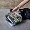 Lunchbox met 5 grote rijstbollen op een keukenblad